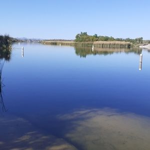 Meet your Posher, Claudia